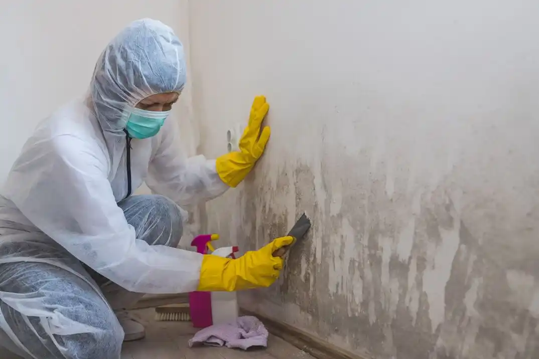 water damage restoration service Lindley Park